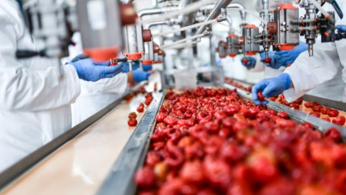 cherry processing